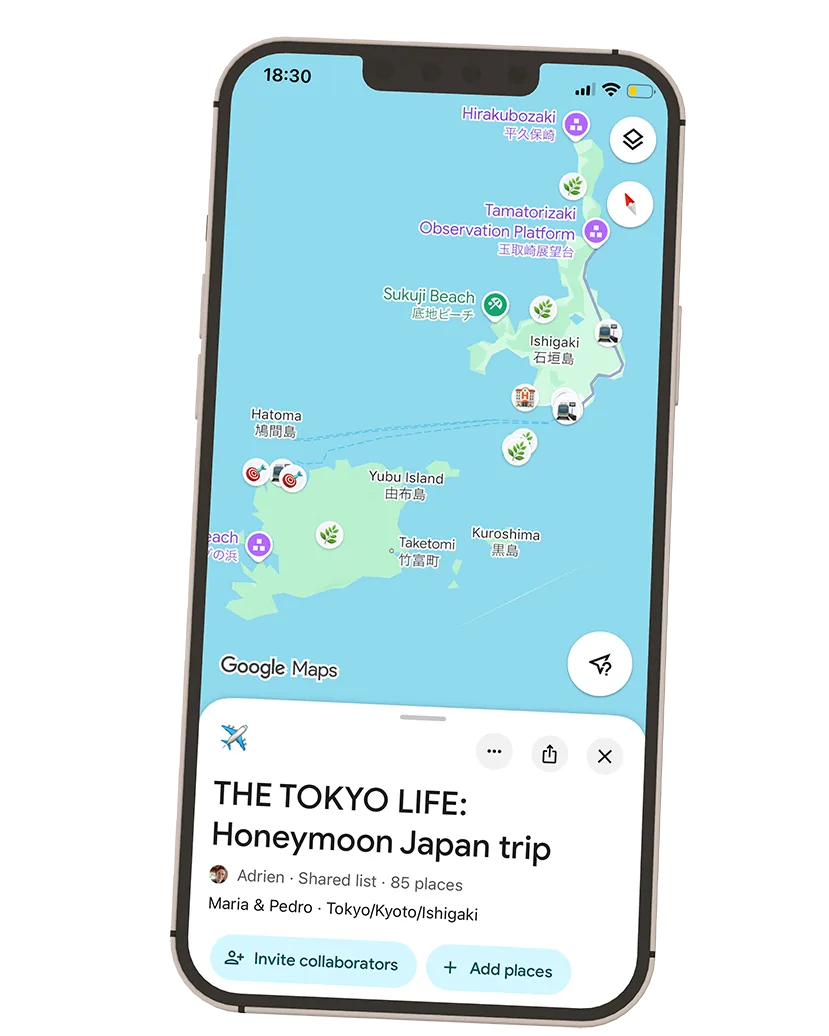 Google Maps Preview
